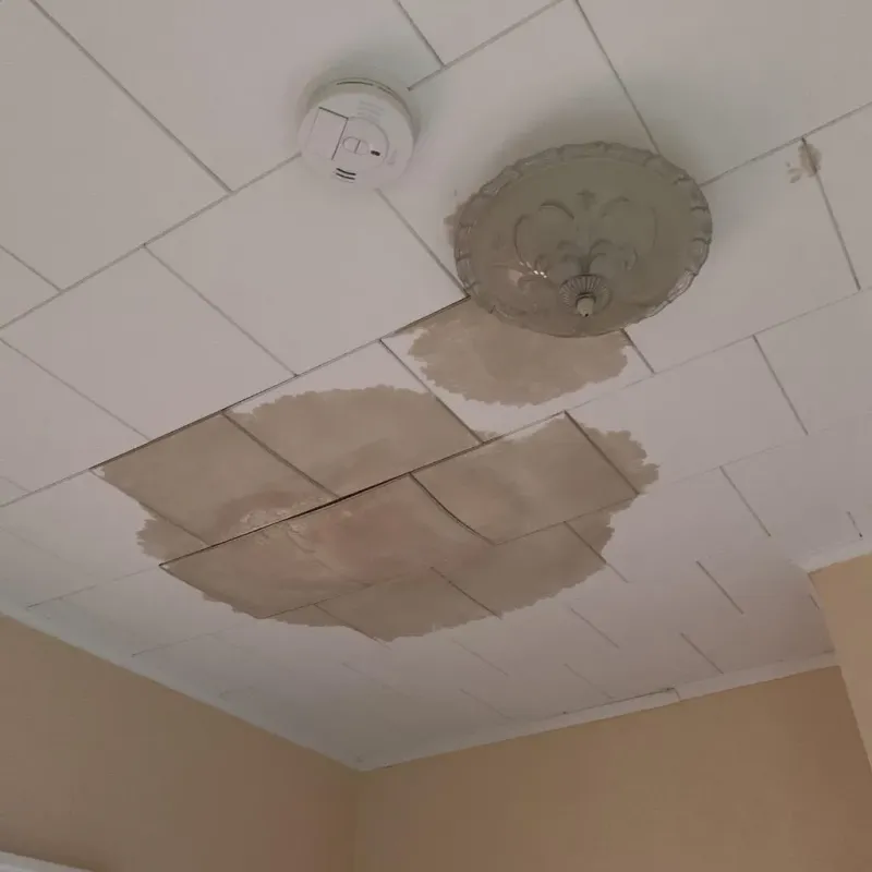Ceiling Water Damage Repair in Jackson, MS