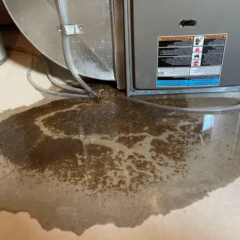 Pipe Burst and Leak Restoration in Jackson, MS