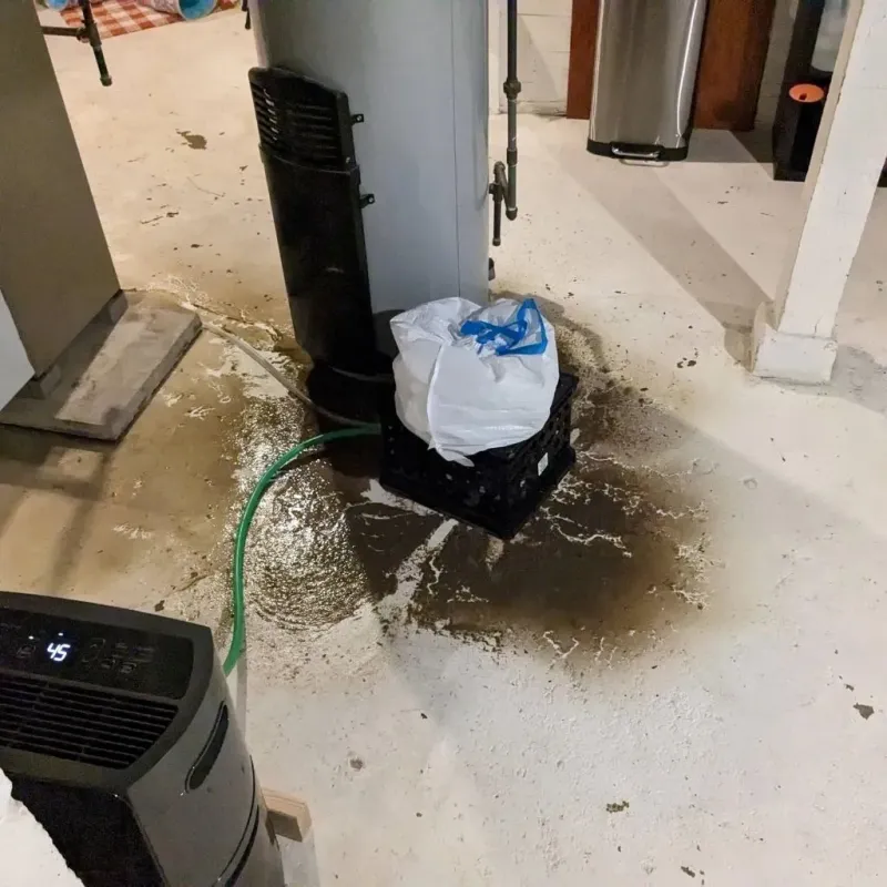 Sewage Backup Cleanup Service in Jackson, MS